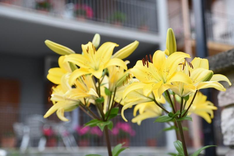 Domus Inn Ioannina Buitenkant foto